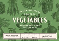 Vegetables Illustrationss Set