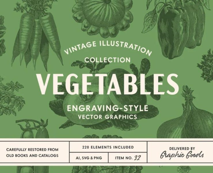 15+ Vegetable Illustrations Ai PNG FREE
