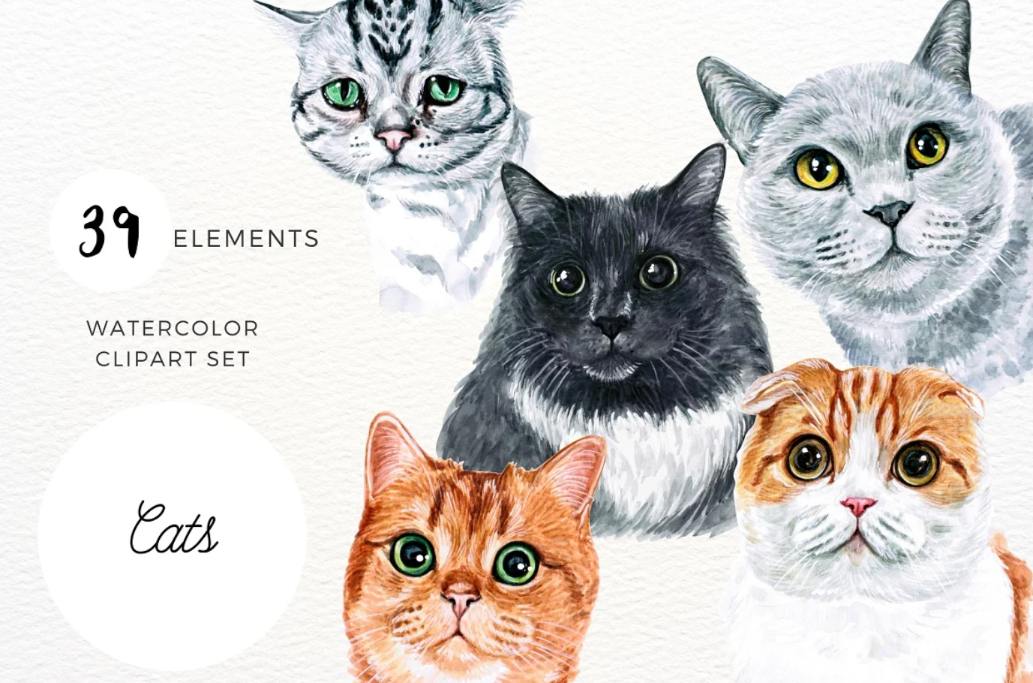 39 Watercolor Cat Illustrations