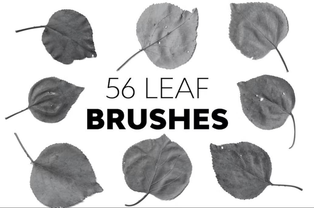 56 High Quality Leaf Brushes
