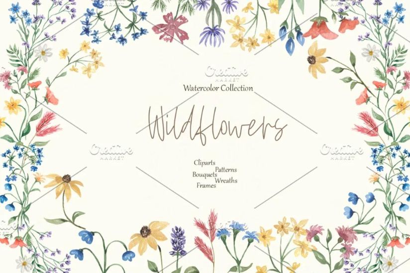 Creative Wildflower Illustrations