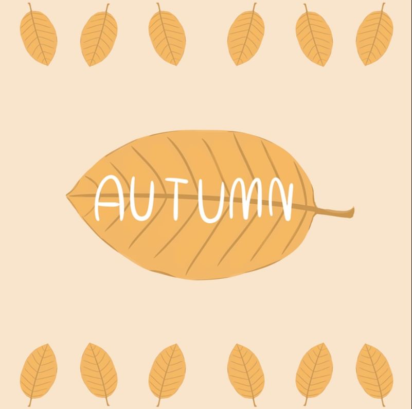 Free Autumn Leaf Background