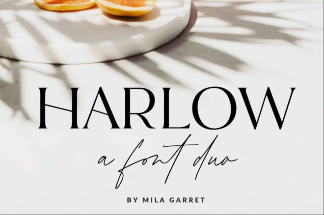 15+ Classy Fonts TTF OTF & Carl Brown Font FREE Download