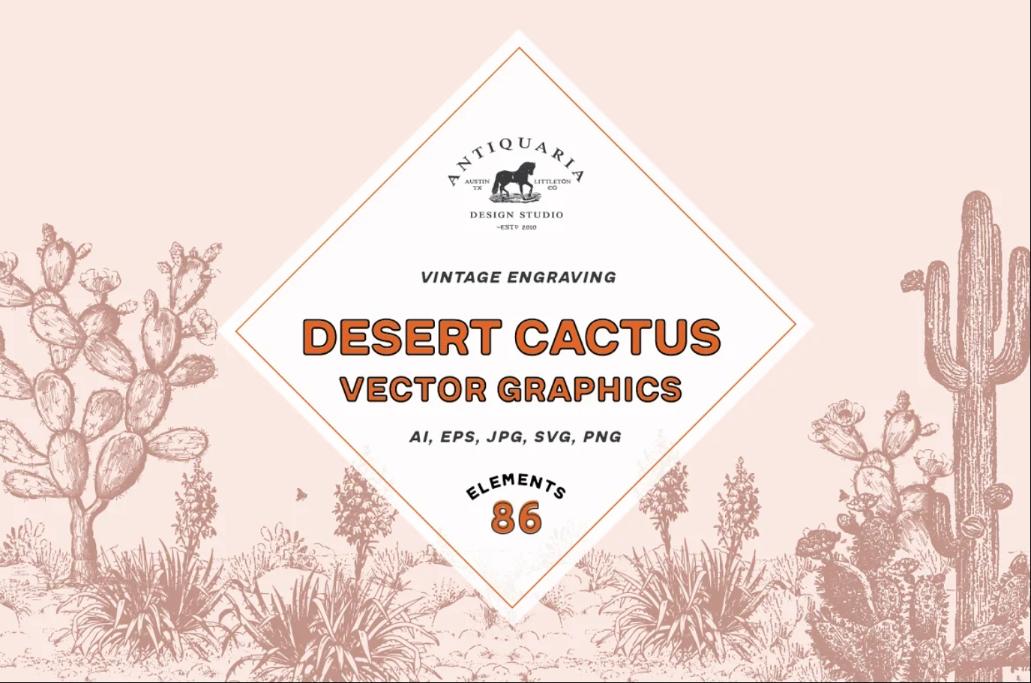 Vintage Desert Cactus Illustrations