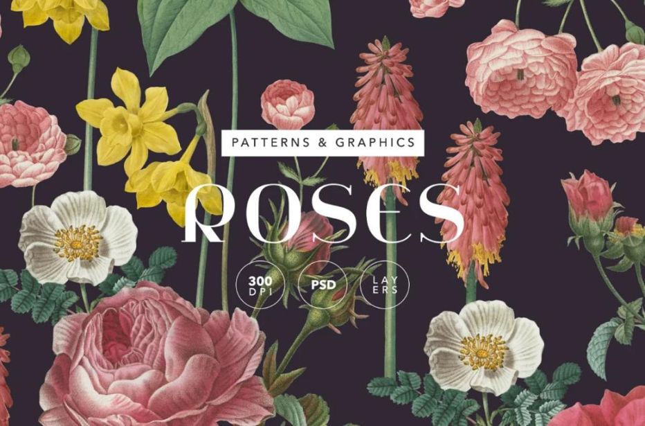 Vintage Rose Patterns and Graphics