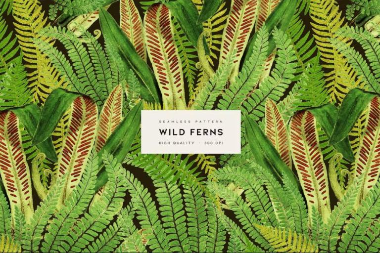 Wild Ferns Patterns Set