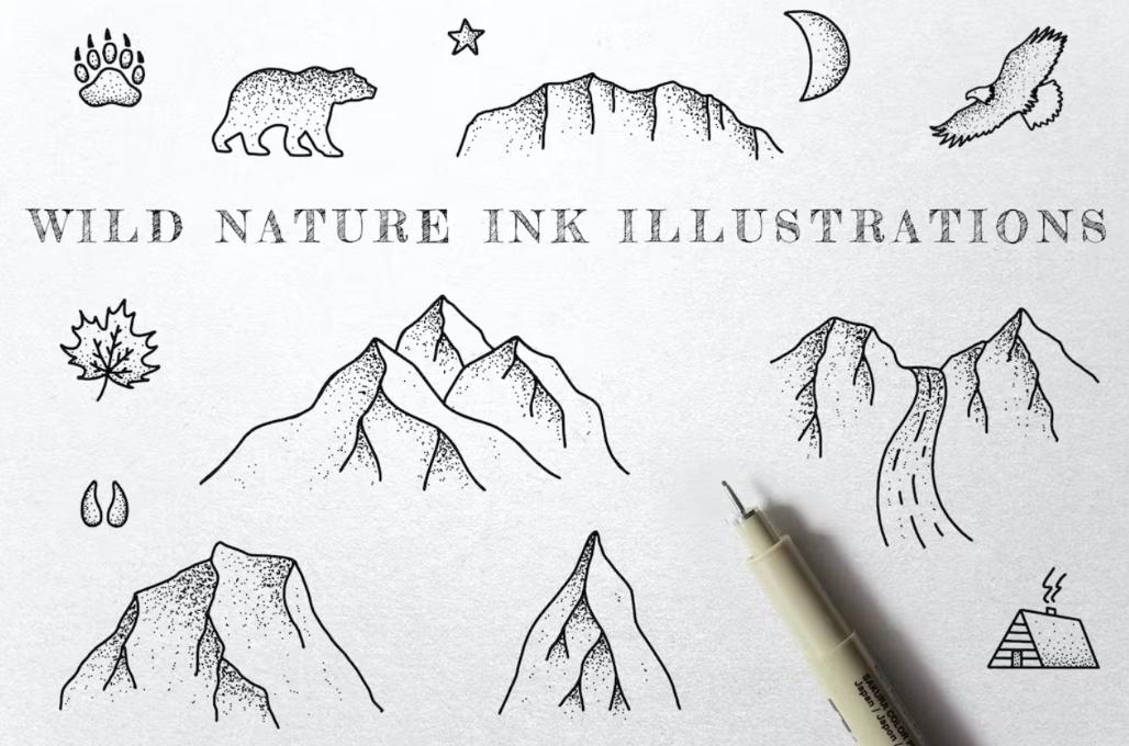 Wild Nature Ink Illustrations