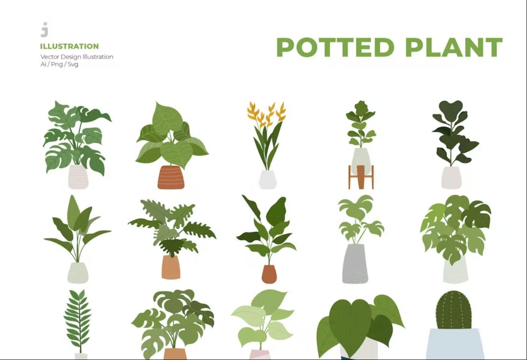 20 High Quality Plants Set