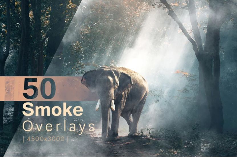 50 Smoke Overlay Textures Set