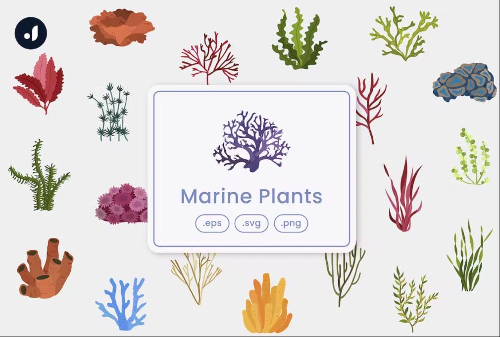 Creative Marine Plants Vector