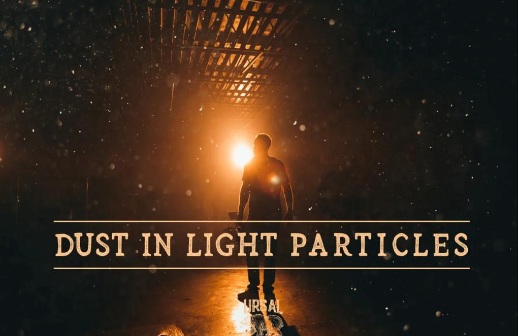 Dust Particles in Light