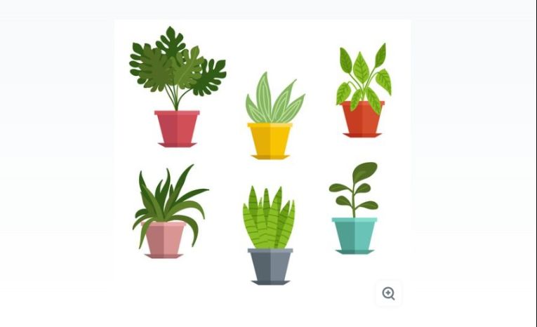 Free Plotted Plant Vectors