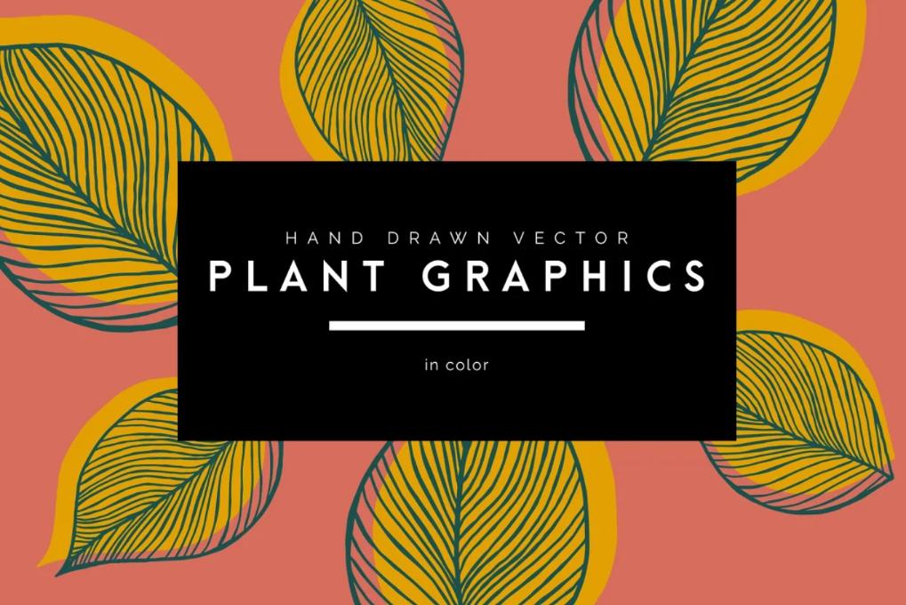 Hand Drawn Leaf Vectors