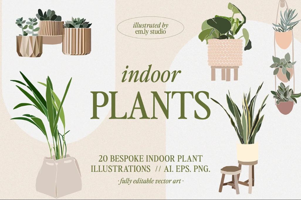 Indoor Plants Illustration Set