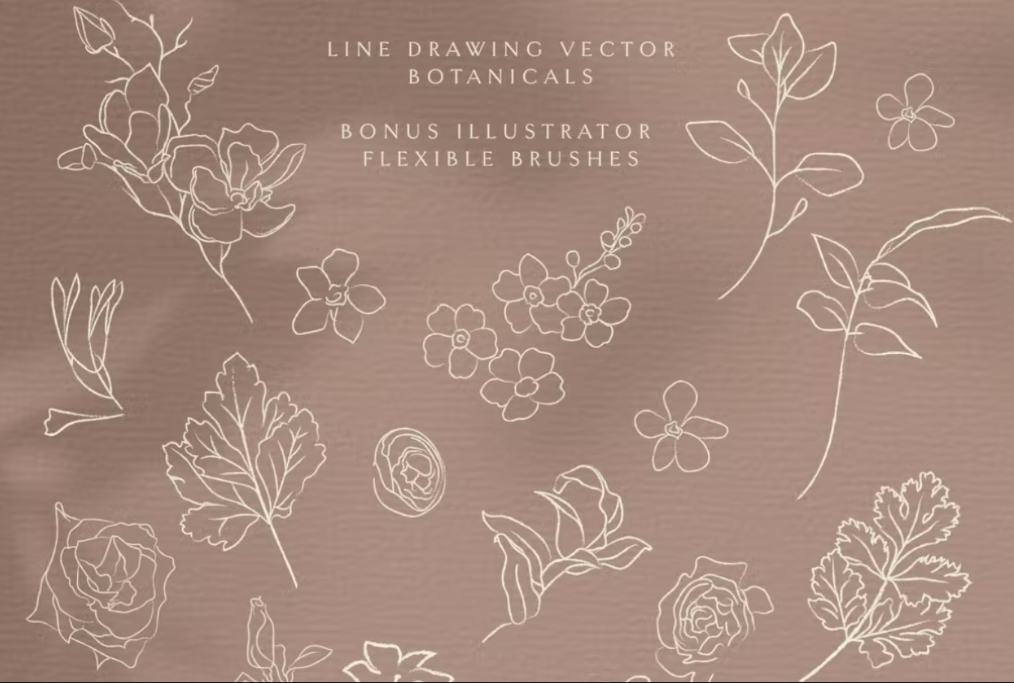Lined Botanical Vector Illustrations