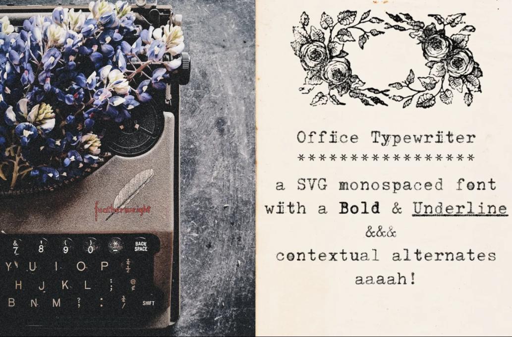 Monospaced Typewriter Display Font