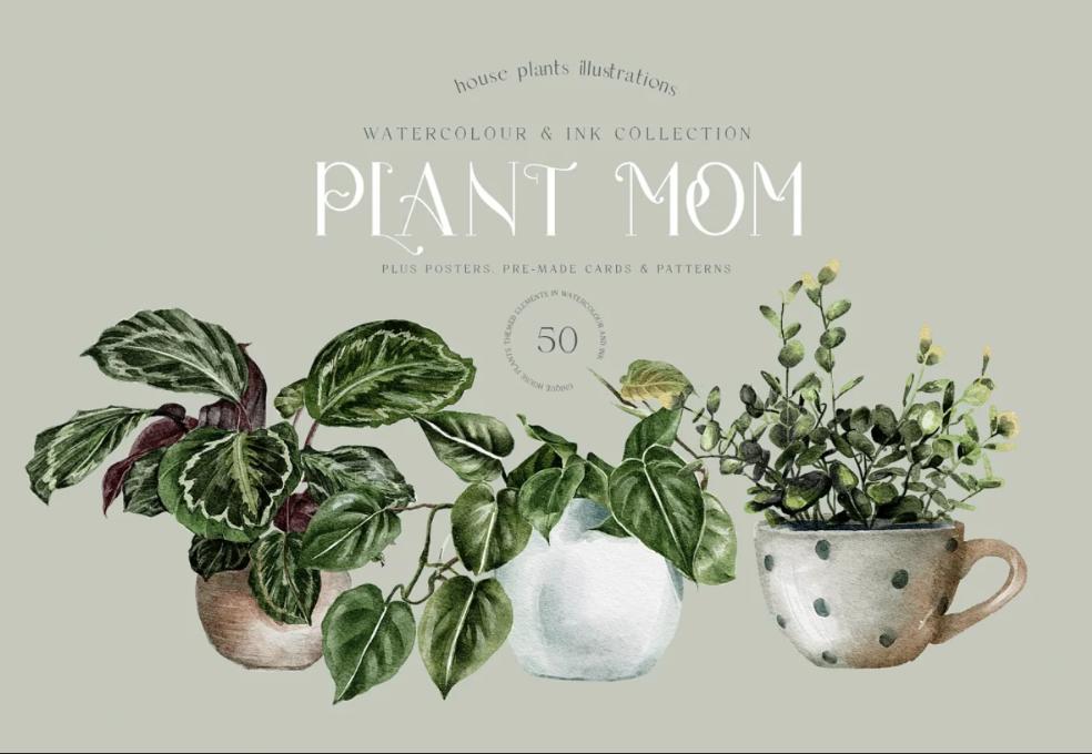 Watercolor House Plant Illustrations