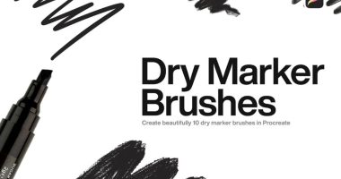 Dry Marker Brushes