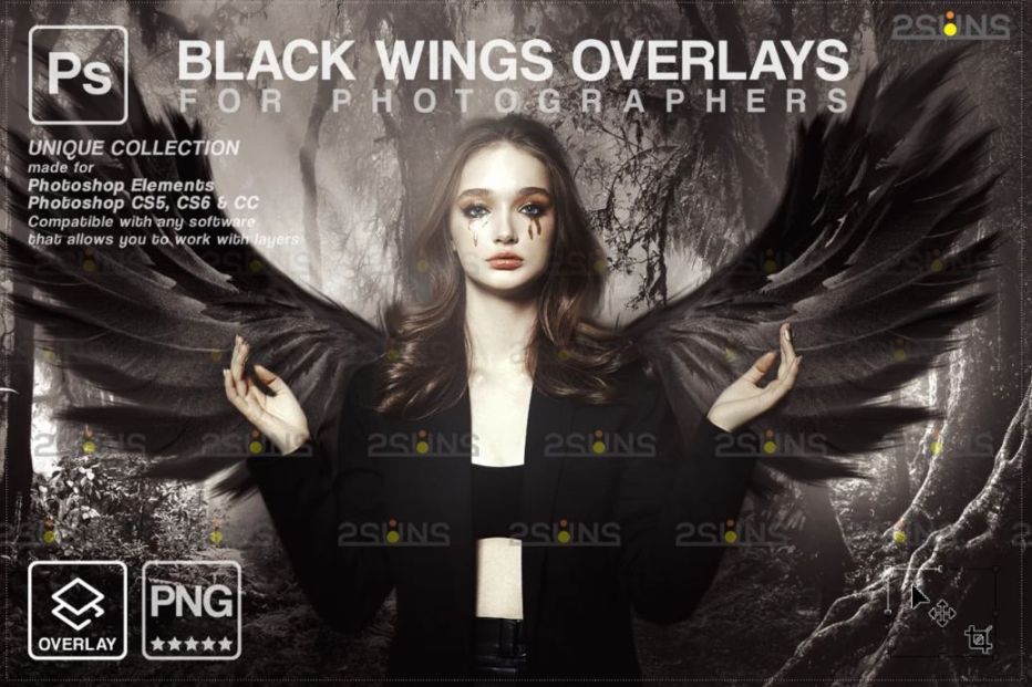 Black wings for Photographers