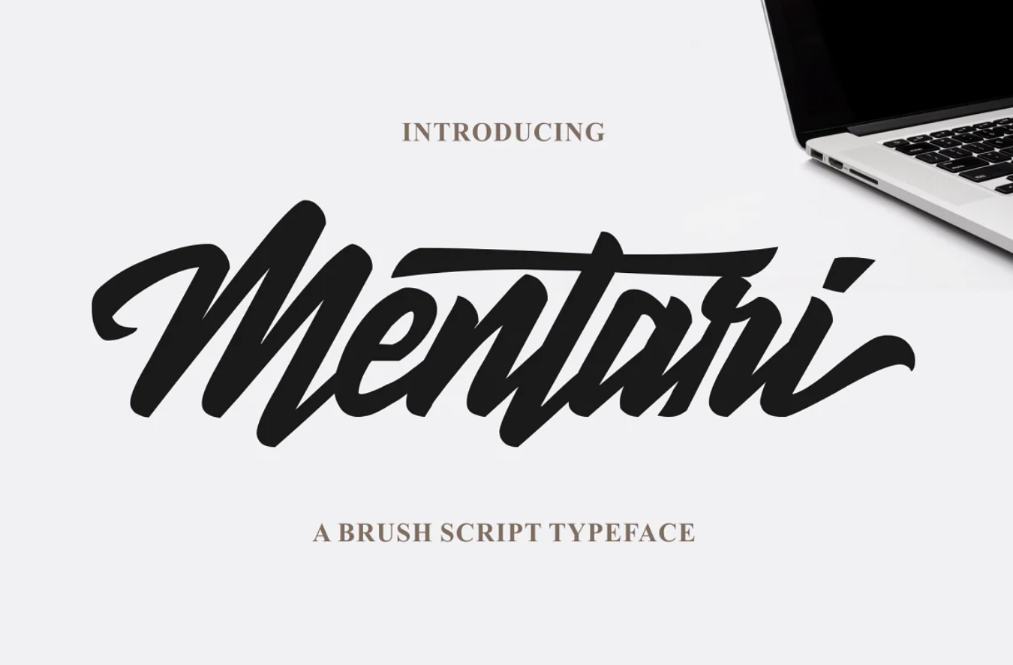 Brush Style Script Typeface