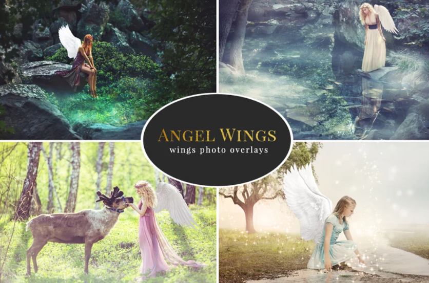 Creative Angel Wings Photo Overlay