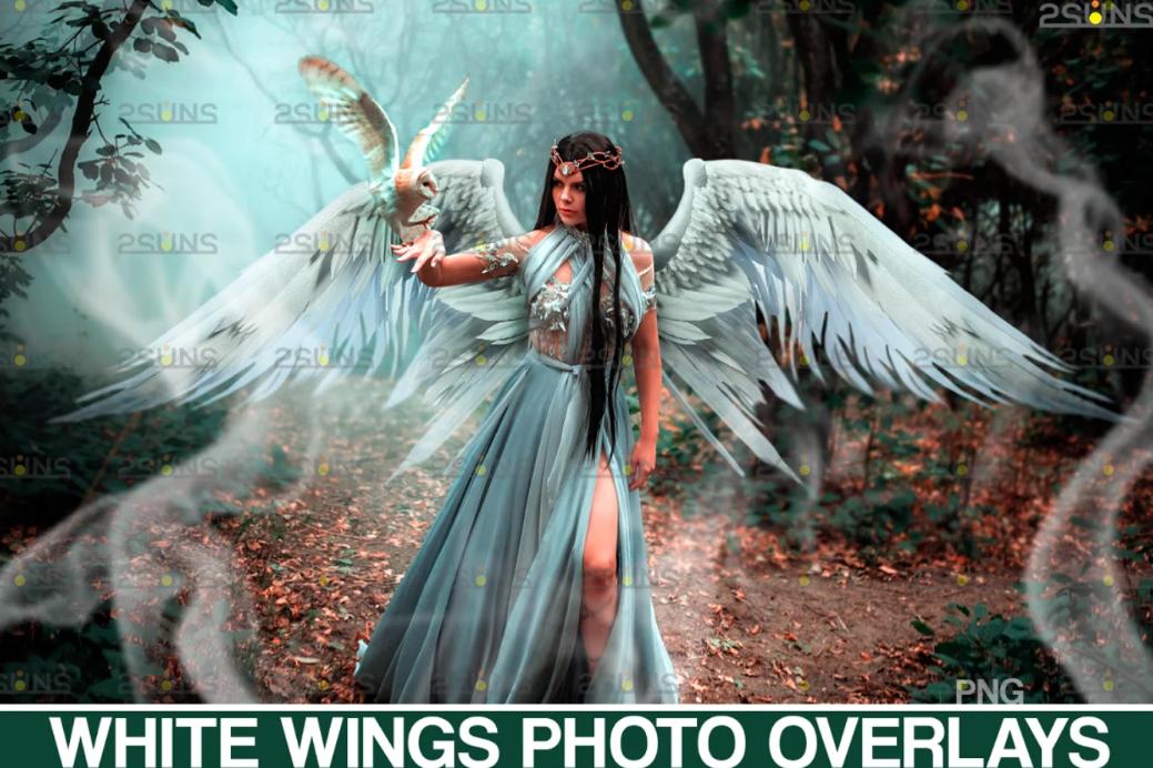 Digital Angel Wings Photo Overlay