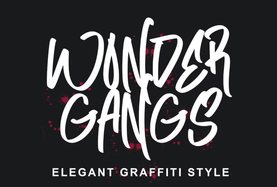 Elegant Graffiti Style Typeface