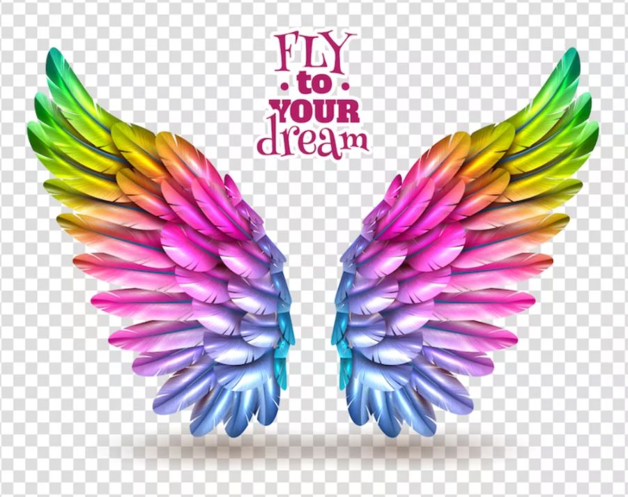 Free Colorful Wings PNG