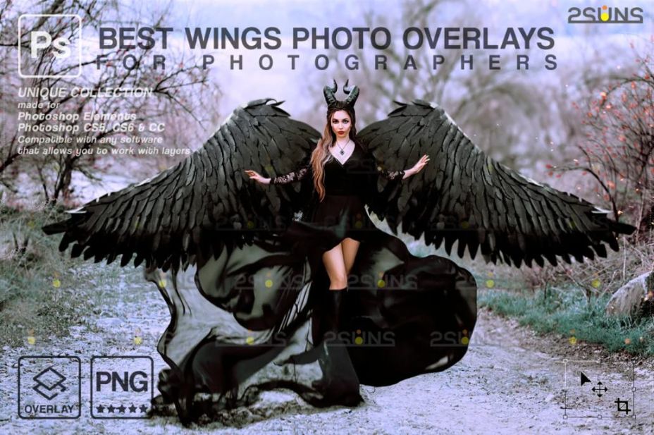 Halloween Wings Photo Overlay 