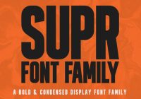 Bold Display Typeface