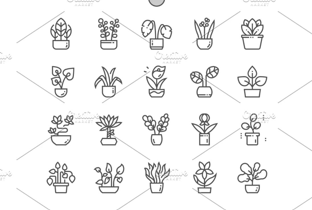 Indoor Plant Icons Set
