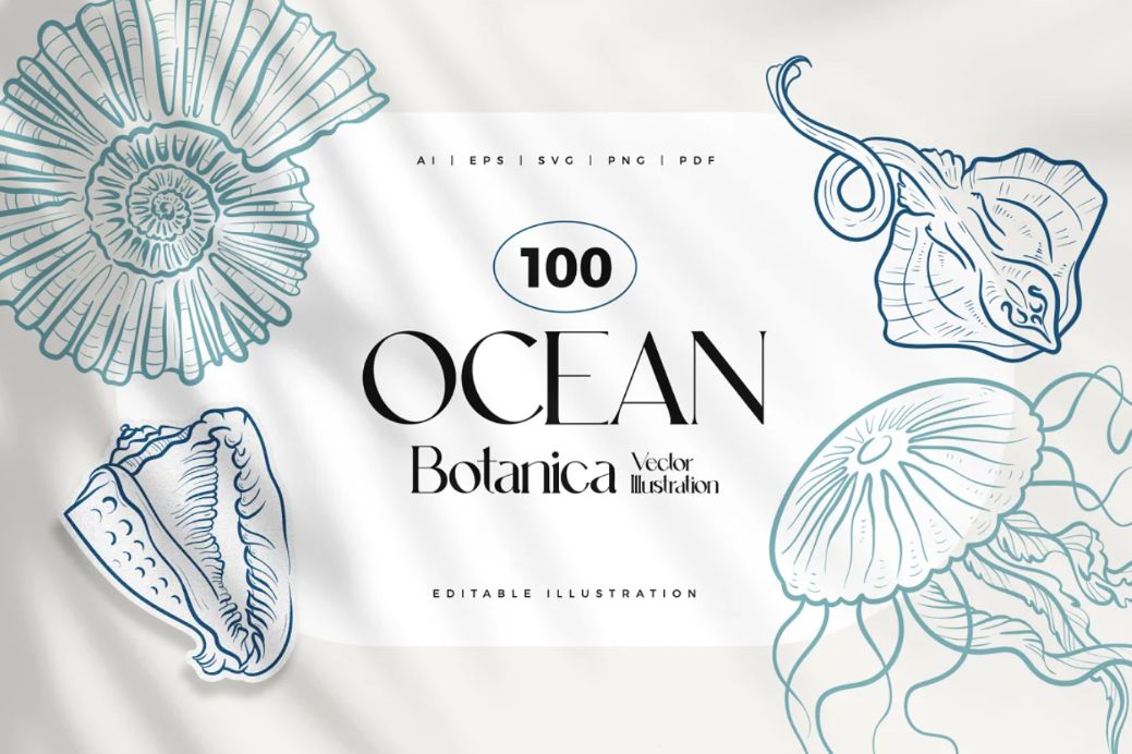 Ocean Fauna Vector Illustrations Set