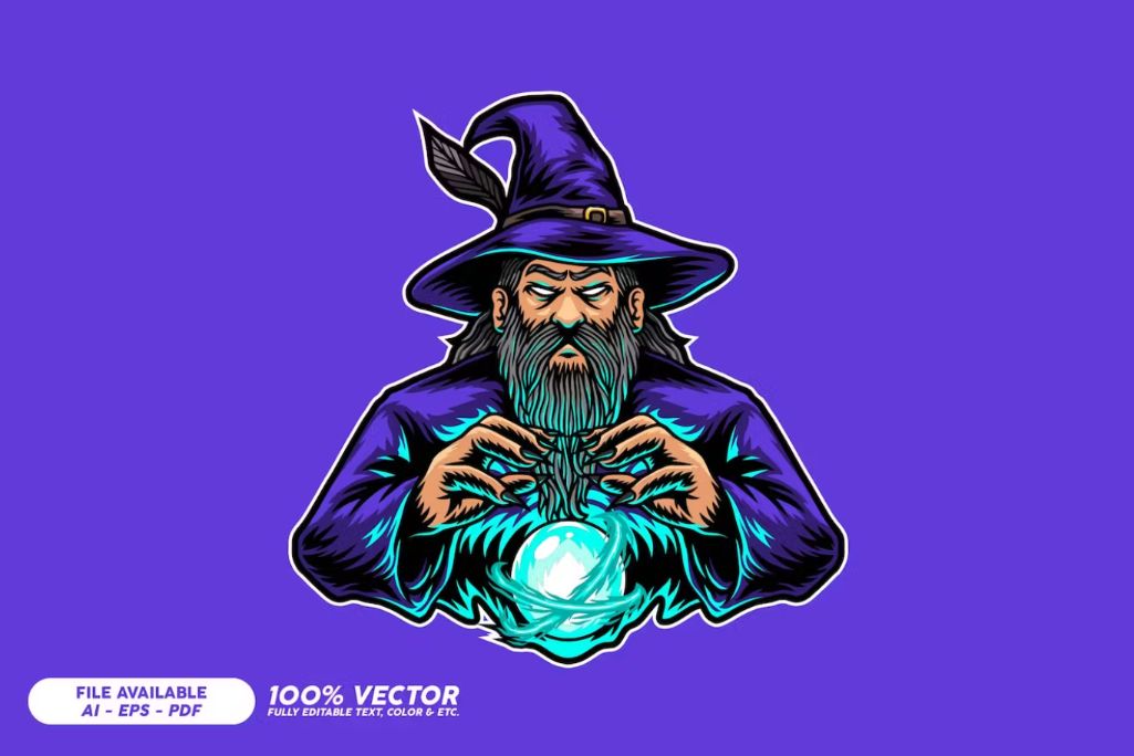 Vector Style Wizard Character Design
