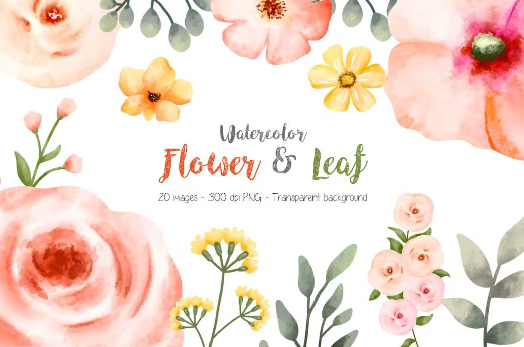 Watercolor Flowers and Leaf Illustrations
