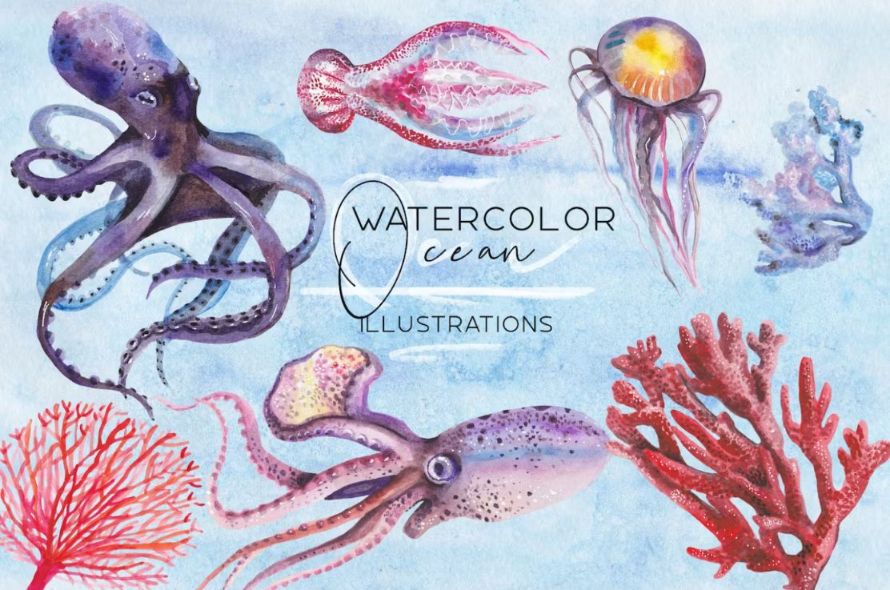 Watercolor Illustrations Set PNG