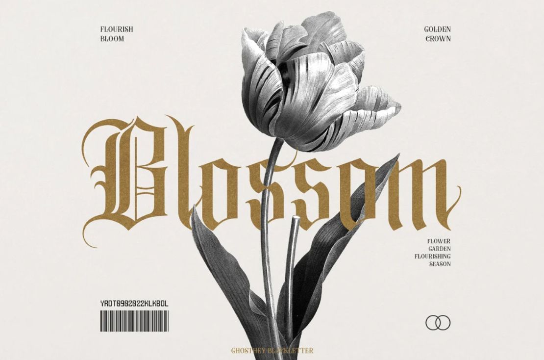 High Quality Blackletter Display Font