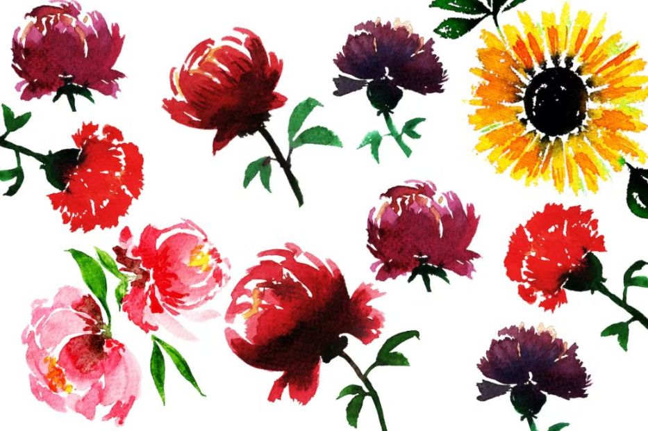 Creative Watercolor Flowers Set