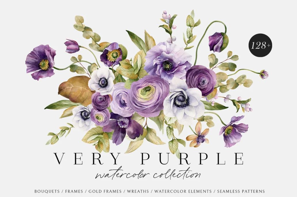 Purple Flower Illustrations Set
