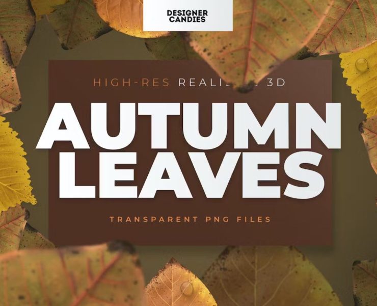 17+ Autumn Leaves Illustrations Ai PNG Free Download