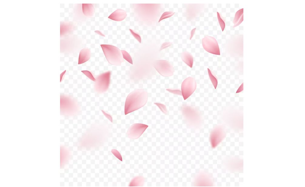 Free Pink Petals Overlay PNG