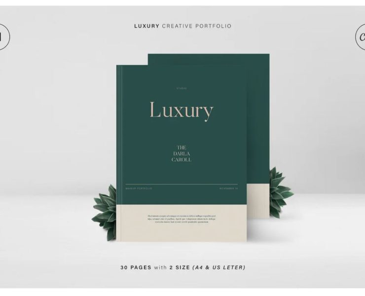 15+ Free Luxury Magazine Template PSD Ai Download