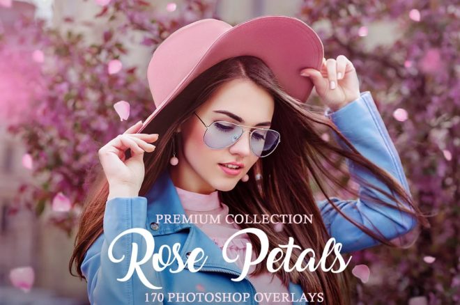 Rose-petal-overlay-footage