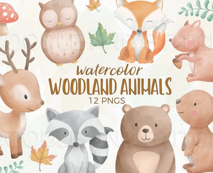 15+ Free Woodland Illustrations Ai PNG Download