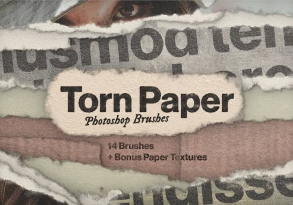 Realistic Torn Paper brushes Set