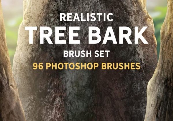 Realistic Tree Bark Brushes Set