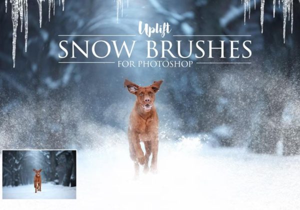 Snow Photoshop Brushes Set